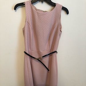 The Limited blush dress.
